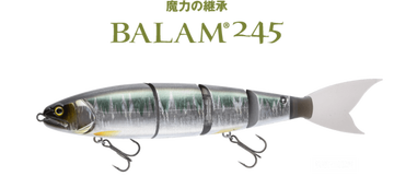 Balam245_top_medium