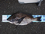 P5041020_medium