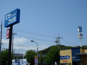P5052628_medium_2