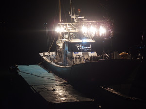 P7060132