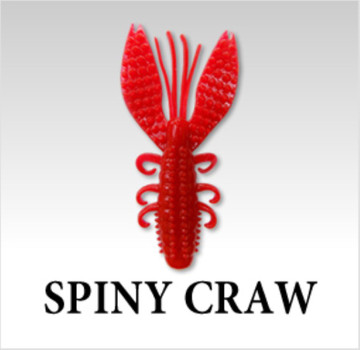 Spinycraw_medium