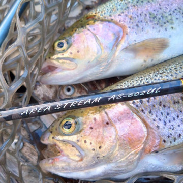 590418558396662153_medium