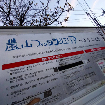 590693585218175062_medium