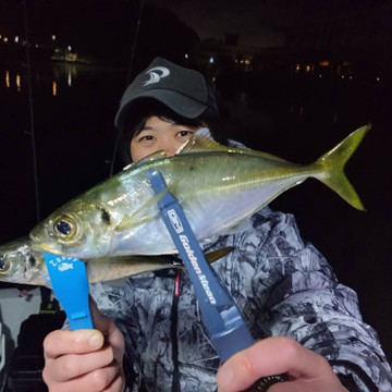 592280903779615318_medium 592280903779615318_medium