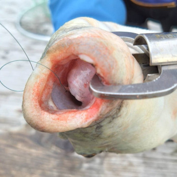 592410920157184052_medium