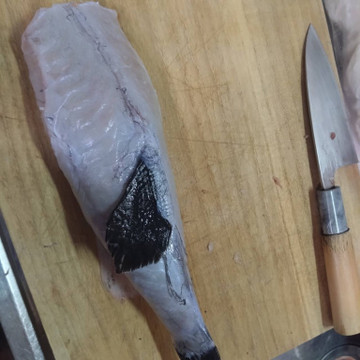 592706593557840336_medium