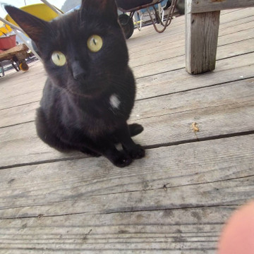 592706613639905298_medium