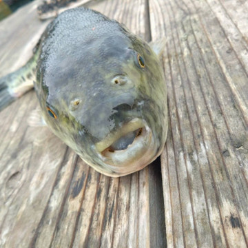 592706619528708118_medium