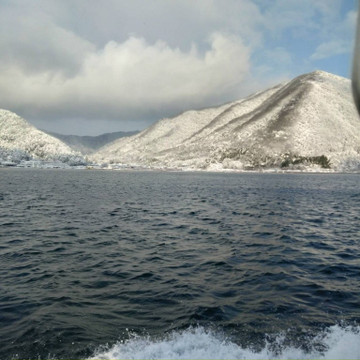 596321664678494315_medium 596321664678494315_medium