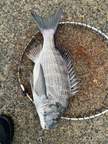 605883567046131904_2