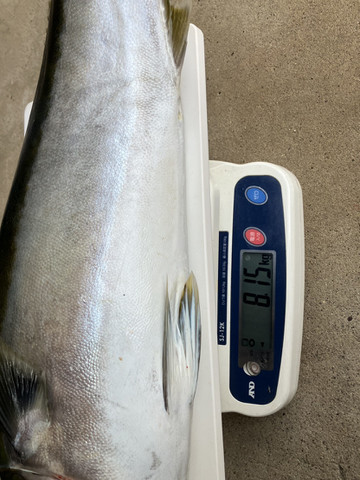 607336891385381069 607336891385381069