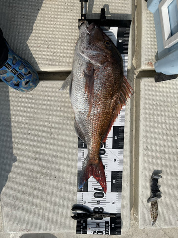 607336892442345609 607336892442345609