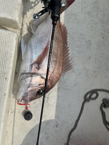 607336897307476380 607336897307476380