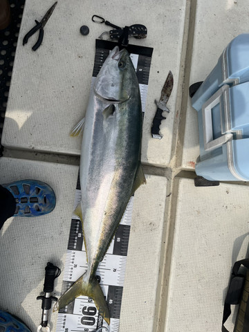 607336902659670289 607336902659670289