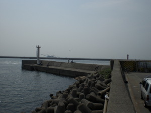 Photo_7