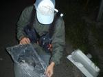 Cimg0433_medium_2