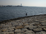 Photo_10