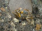 Photo_11