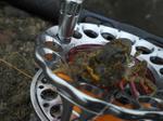 Photo_12