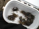 Photo_4