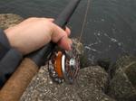 Photo_6