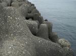Photo_9