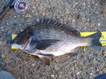 Photo_10