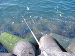 Photo_4