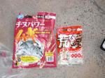 Cimg0215_small