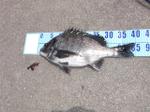 Cimg0218_small