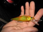 024_small
