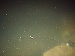 P5300169_medium