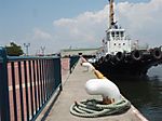 P6010169_medium