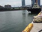 P6010170_medium