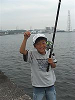 Small_8