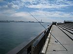 045_small_3