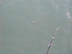 Cimg0313_small