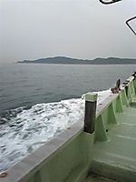 Photo_7