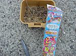 Cimg1675_small