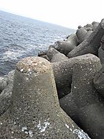 Photo_2