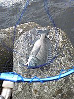 Photo_6