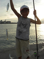 Small_12