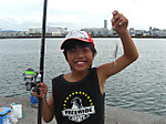 Small_3