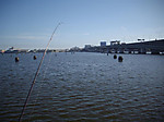 Large_2