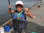 Small_8