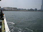 Photo_13