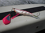 Photo_15