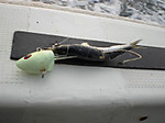 Photo_5