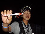 Imgp0776_medium