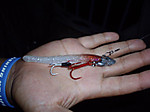 Imgp0779_medium